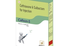 cefison-s
