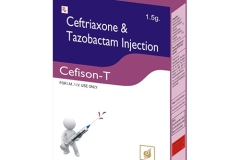 cefison-t
