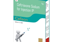cefison