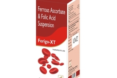 ferigo-xt