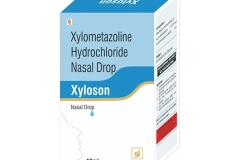 xyloson