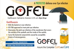 Gofel