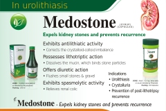 Medostone Syrup-Cap