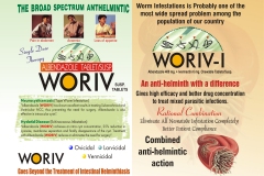 Woriv Range